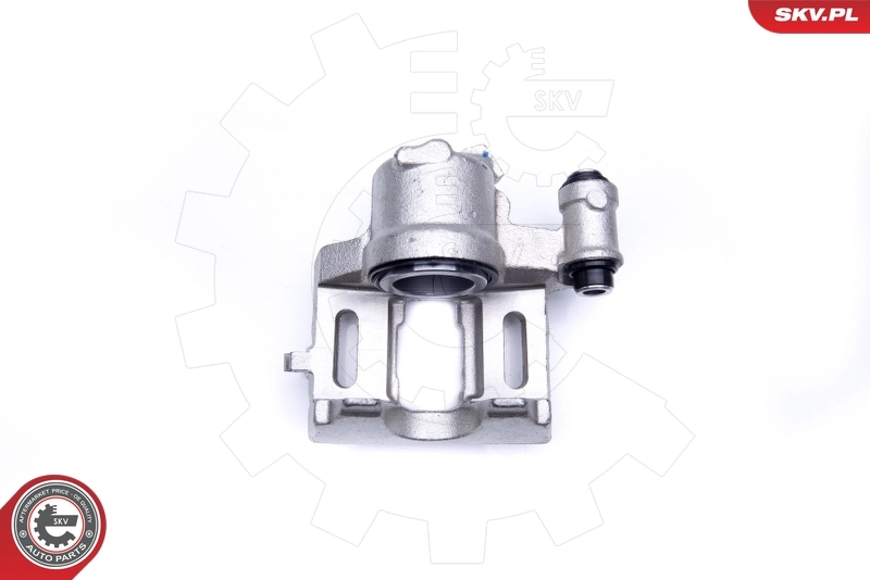 Brake Caliper 42SKV132