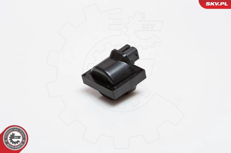Ignition Coil 03SKV150