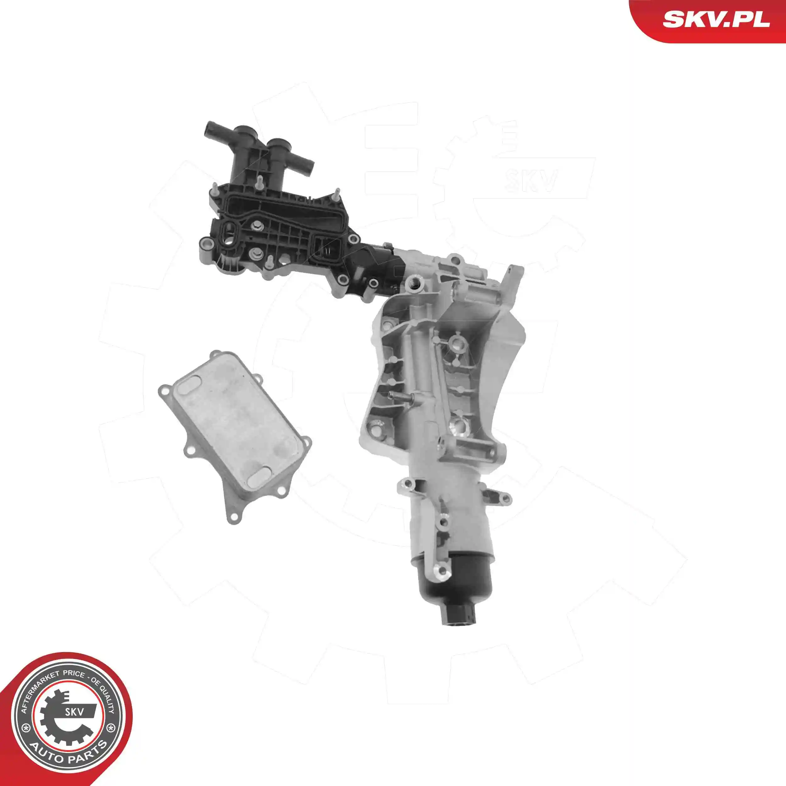 Oil Cooler, engine oil 31SKV440