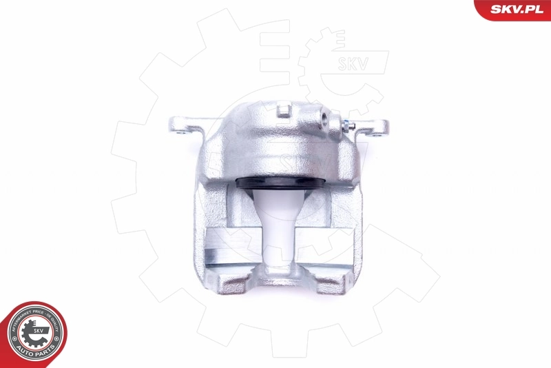 Brake Caliper 44SKV282