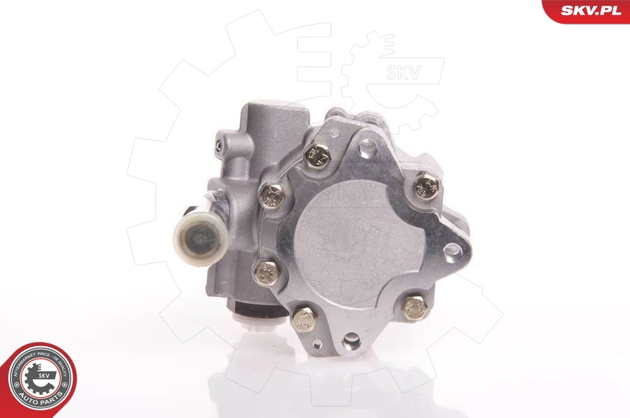 Hydraulic Pump, steering 10SKV145