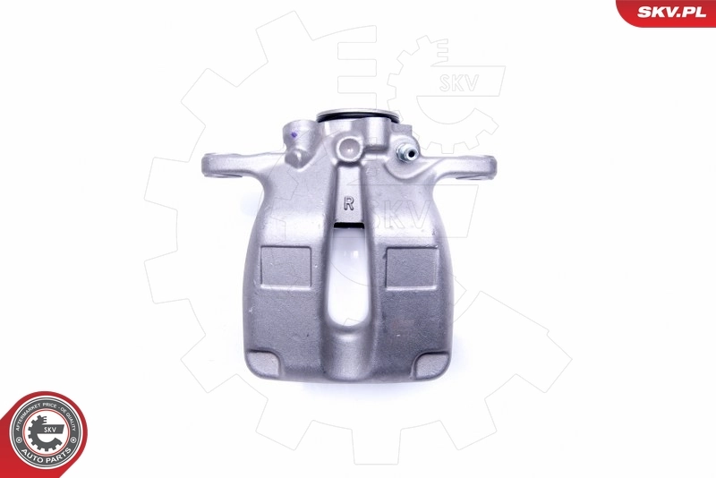 Brake Caliper 44SKV898