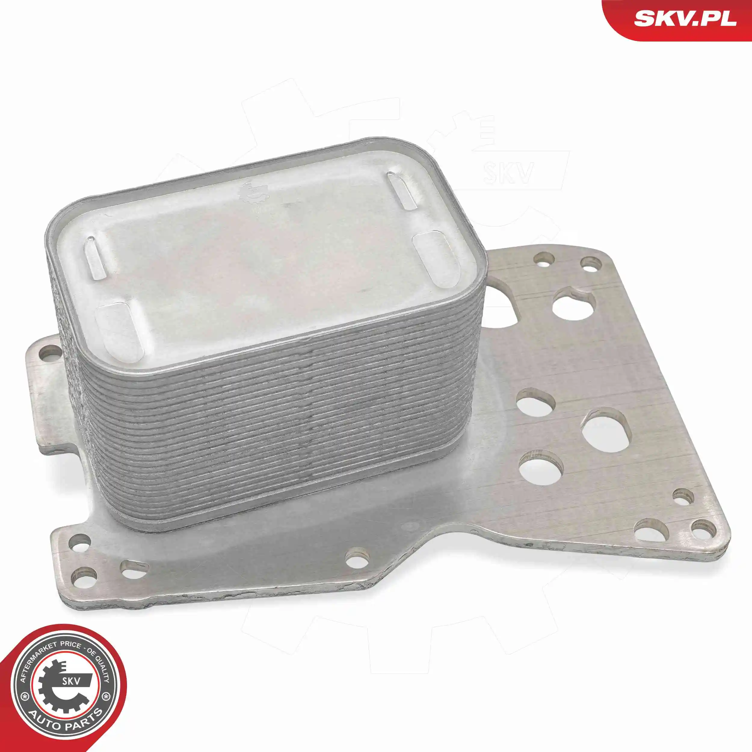 Oil Cooler, engine oil 31SKV378