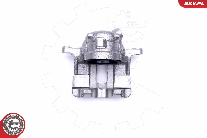 Brake Caliper 50SKV281