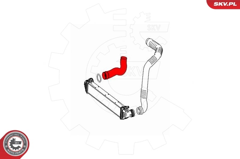 Charge Air Hose 43SKV285