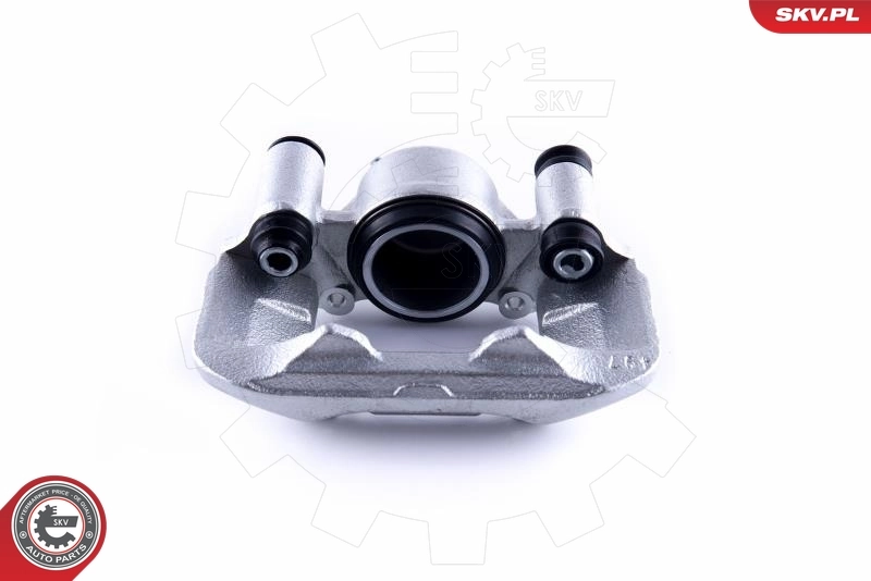 Brake Caliper 55SKV301