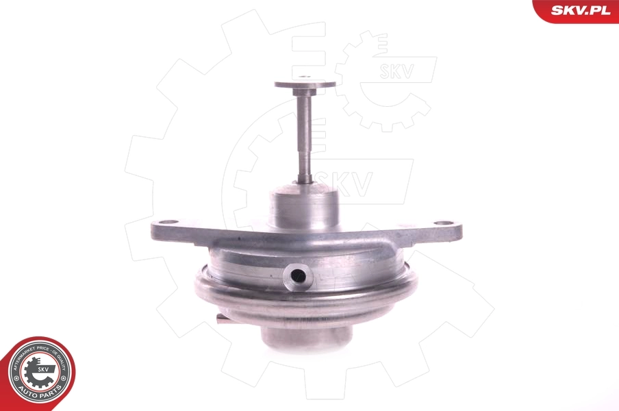 EGR Valve 14SKV022