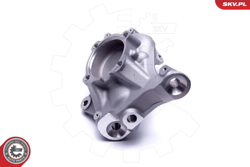 Steering Knuckle, wheel suspension 47SKV842