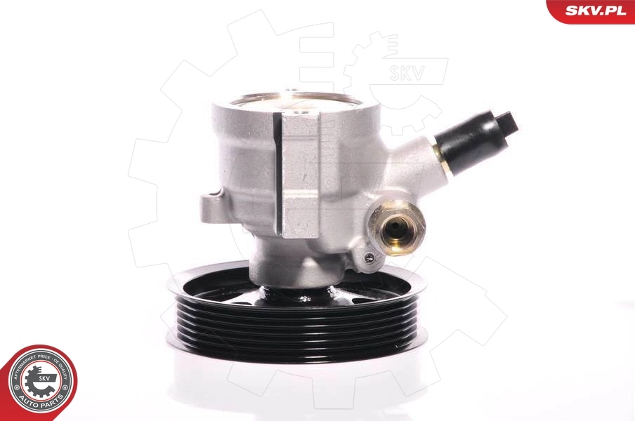 Hydraulic Pump, steering 10SKV108