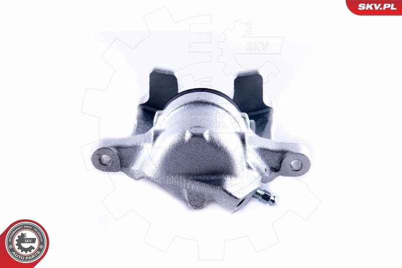 Brake Caliper 55SKV141