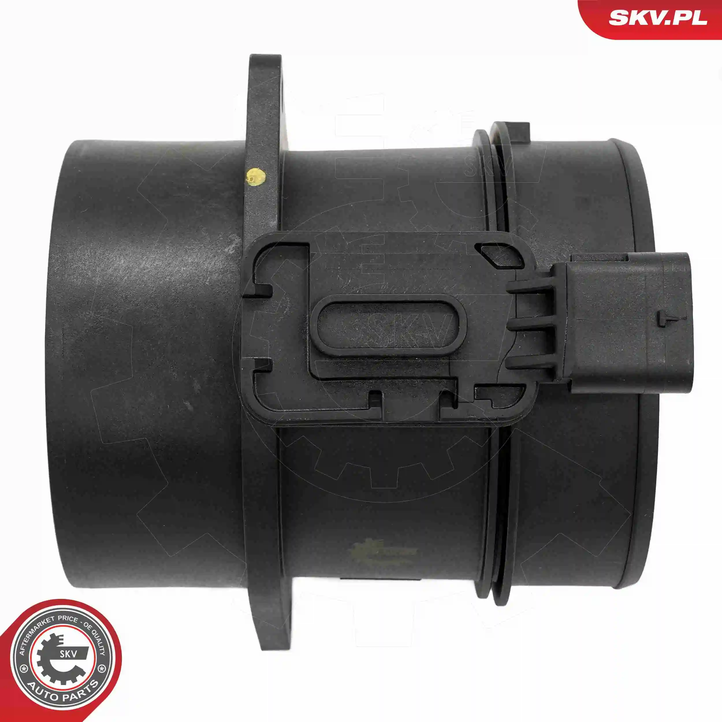 Mass Air Flow Sensor 07SKV192