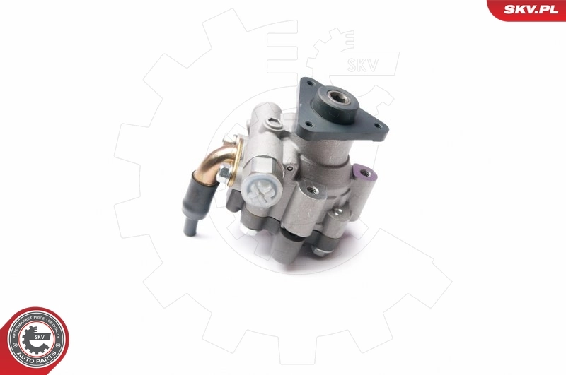 Hydraulic Pump, steering 10SKV227