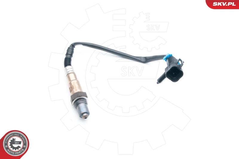 Oxygen Sensor 09SKV702