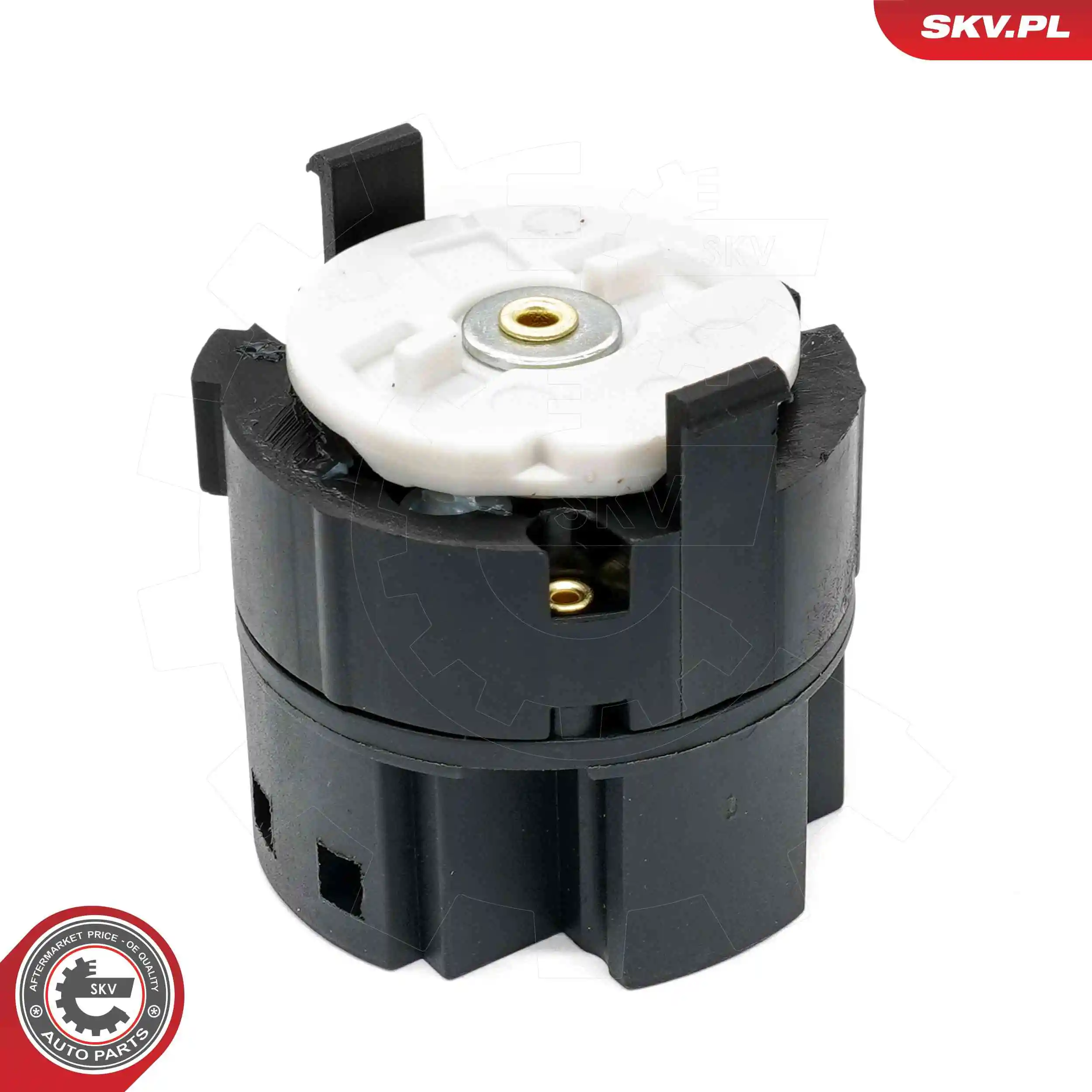 Ignition Switch 65SKV011