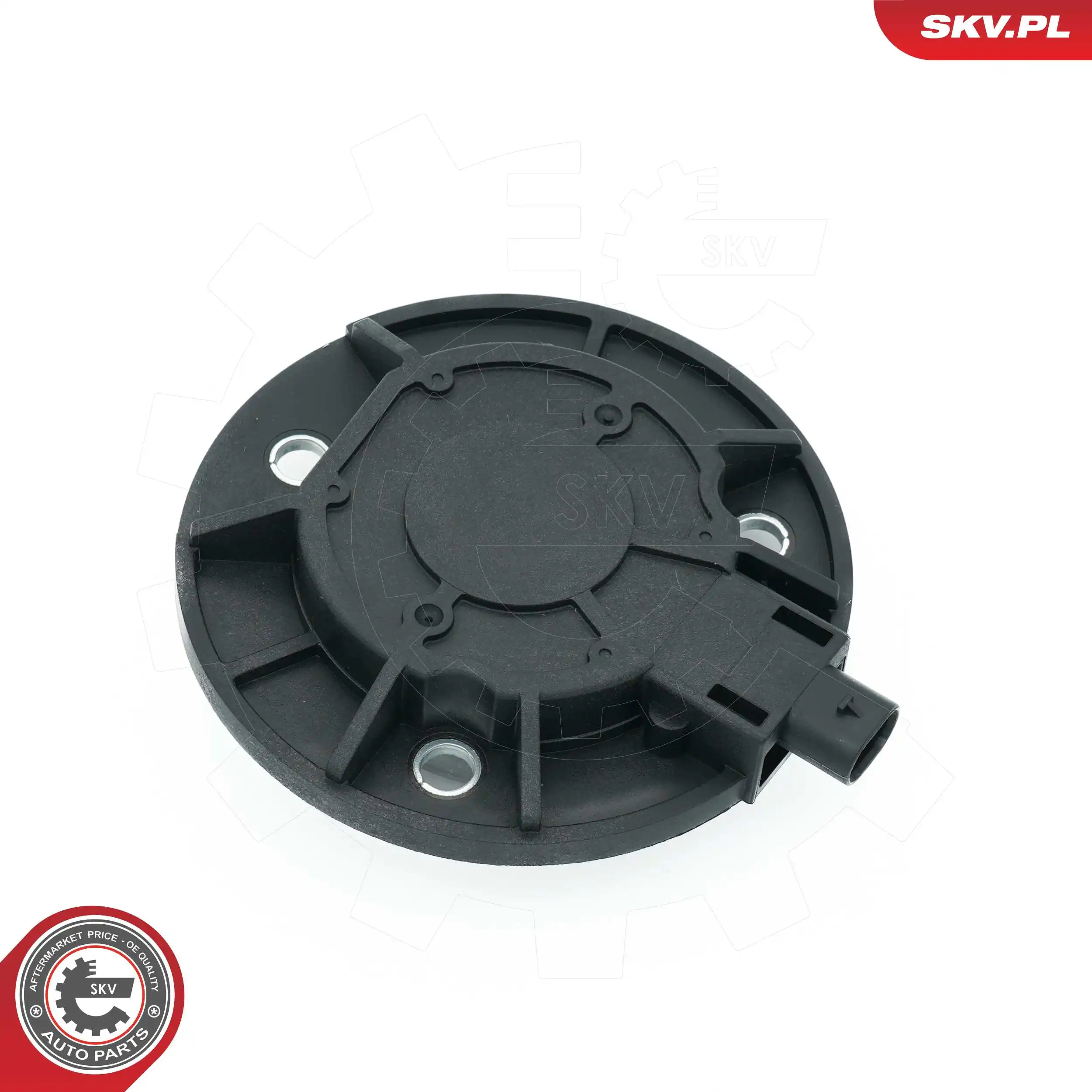 ESEN SKV 39SKV900 Central Magnet, camshaft adjustment