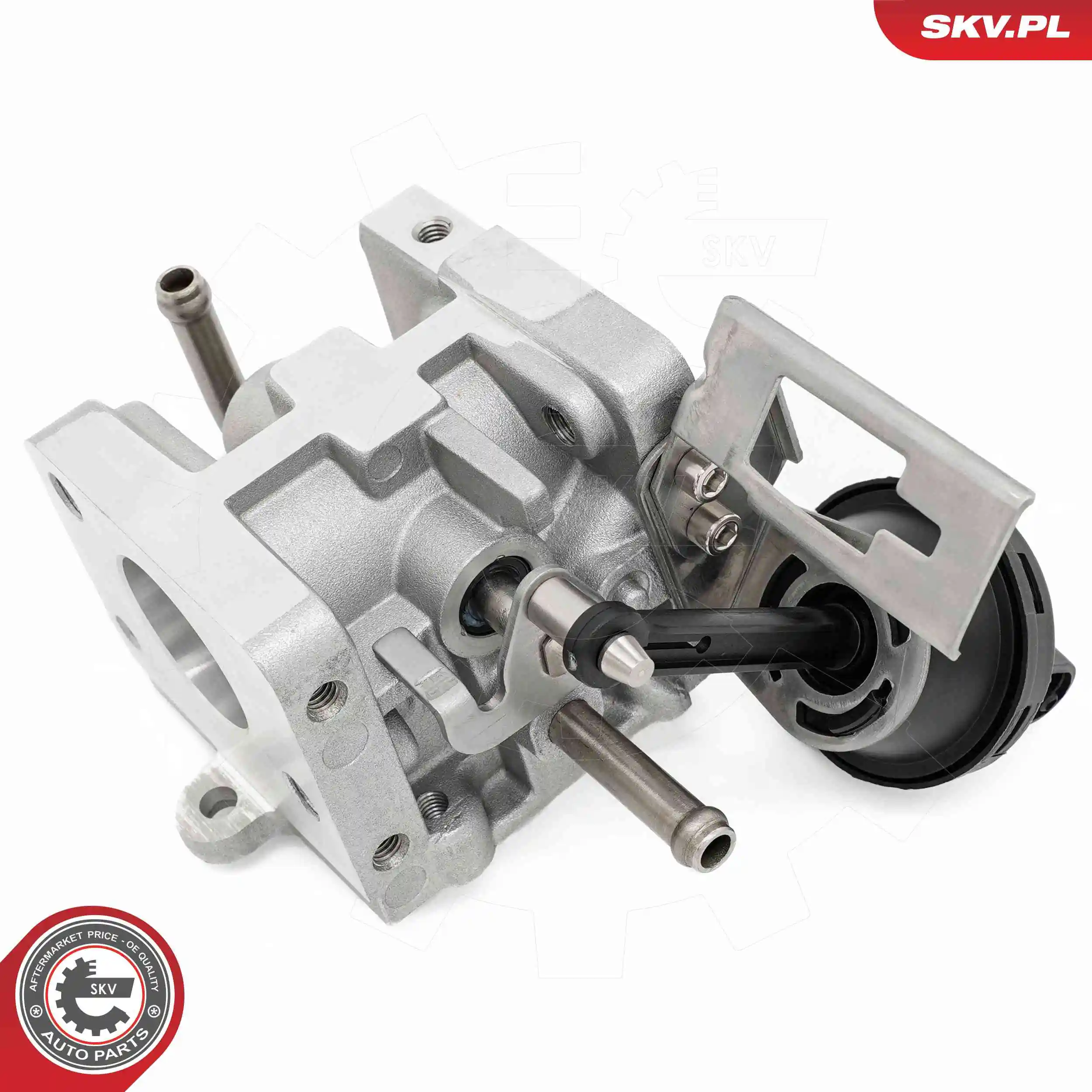 ESEN SKV 14SKV290 EGR Valve