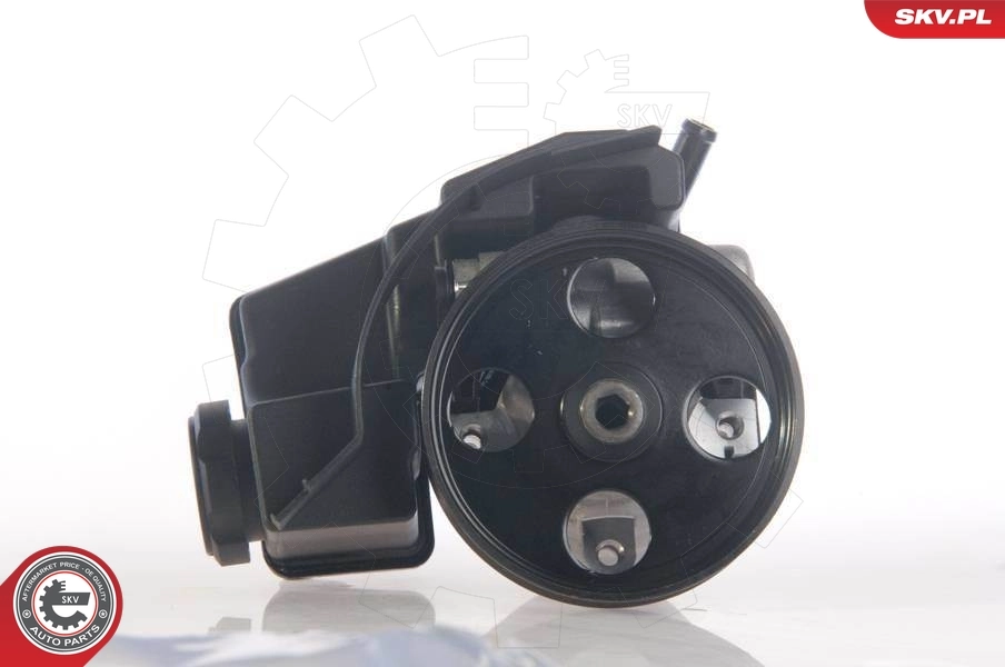 Hydraulic Pump, steering 10SKV171