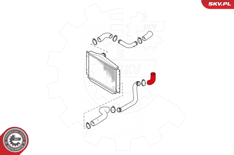 Charge Air Hose 43SKV129