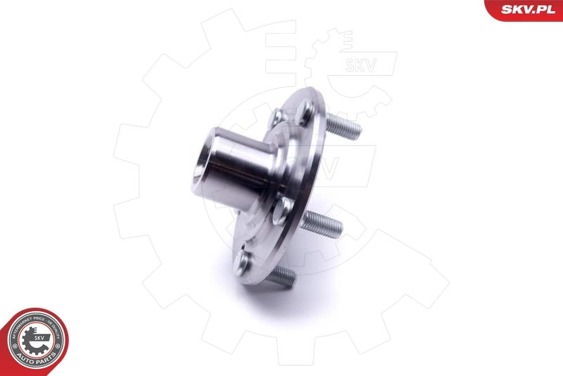 ESEN SKV 29SKV468 Wheel Bearing Kit