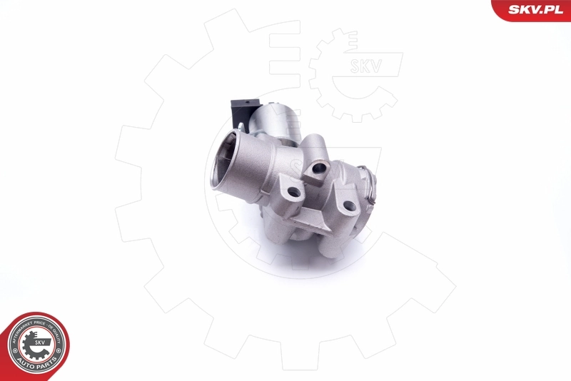EGR Valve 14SKV186