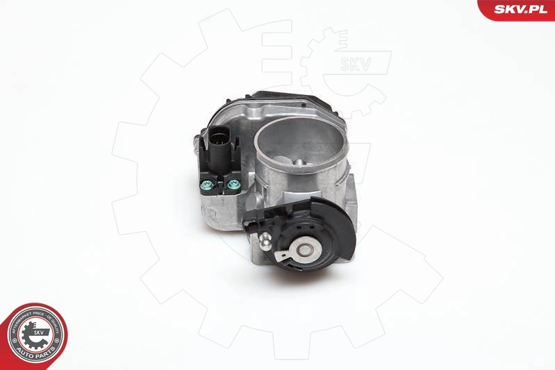 ESEN SKV 12SKV006 Throttle Body