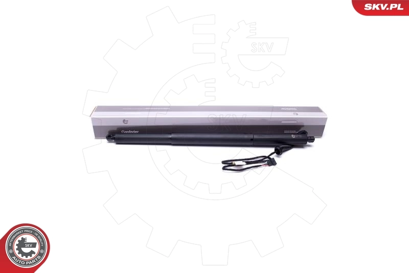 Electric Motor, tailgate 52SKV929