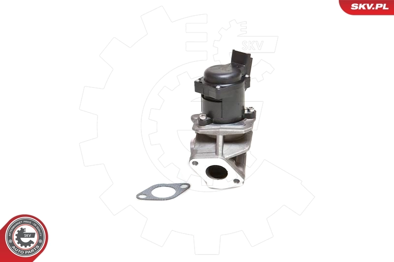 EGR Valve 14SKV027