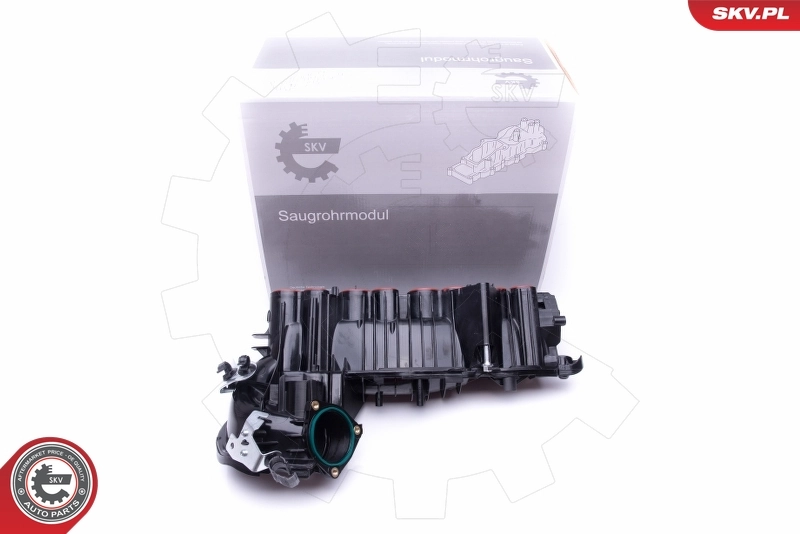Intake Manifold Module 49SKV020