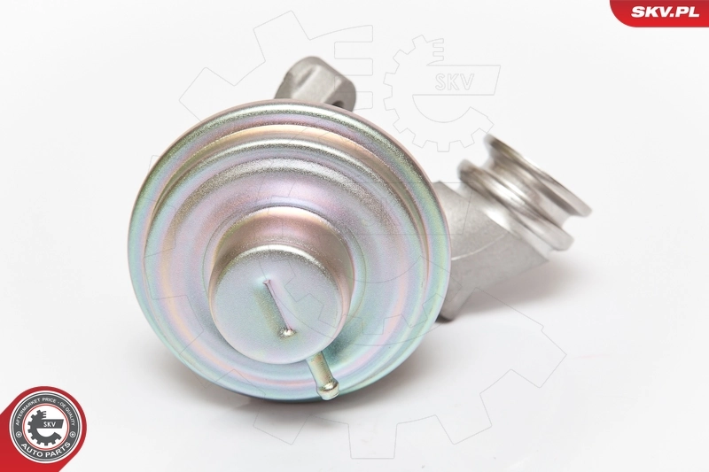 EGR Valve 14SKV075