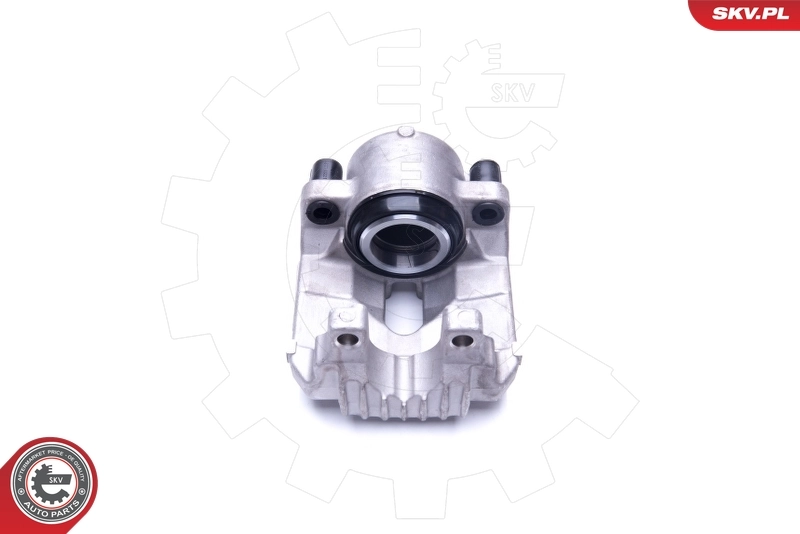 Brake Caliper 44SKV831