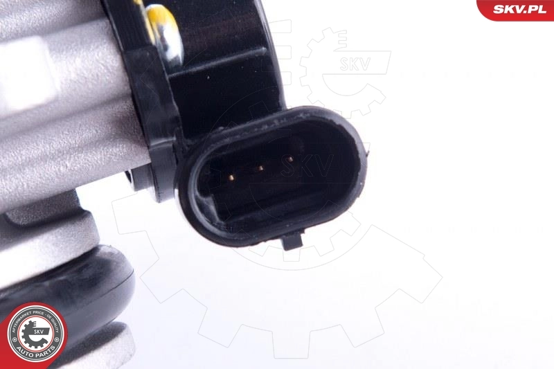 Throttle Body 12SKV086