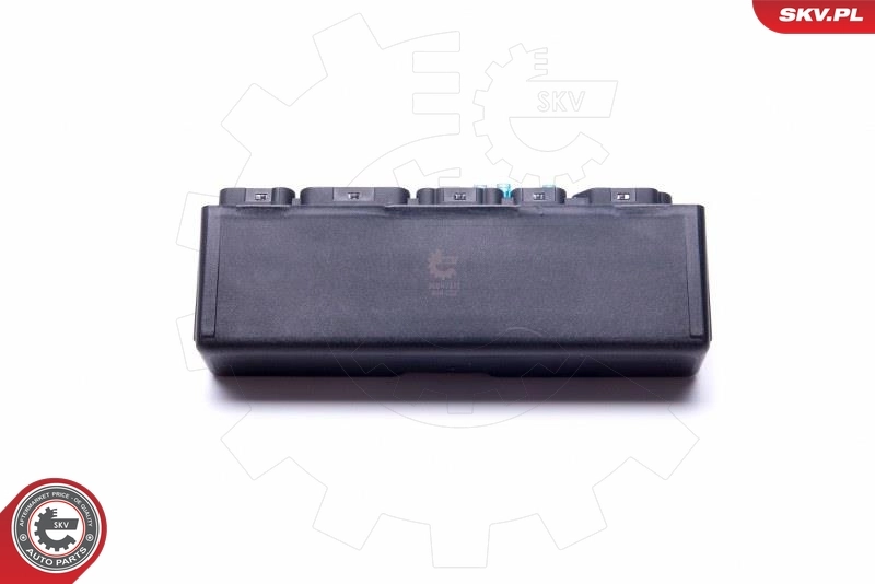 ESEN SKV 96SKV202 Control Unit Set