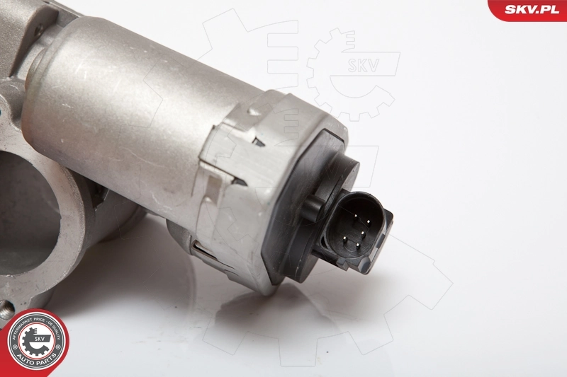 EGR Valve 14SKV084