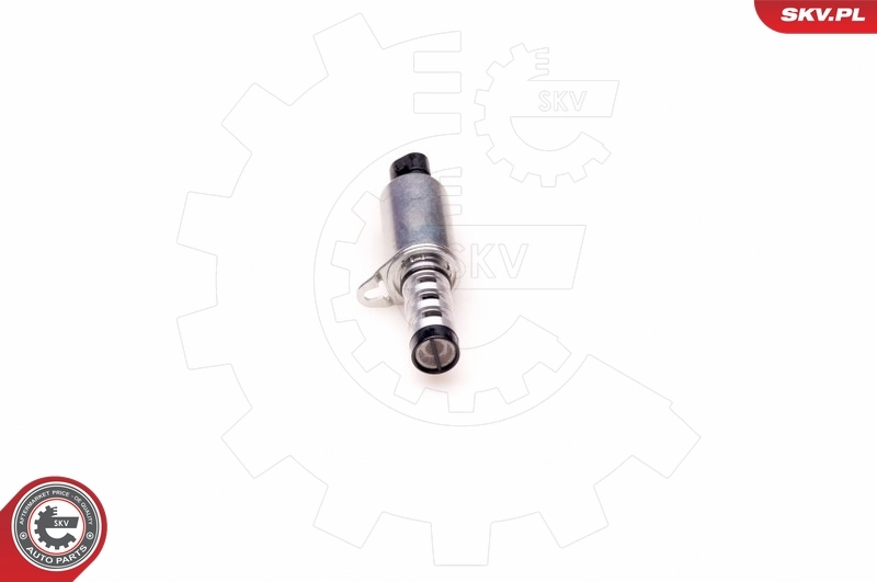 Control Valve, camshaft adjustment 39SKV008