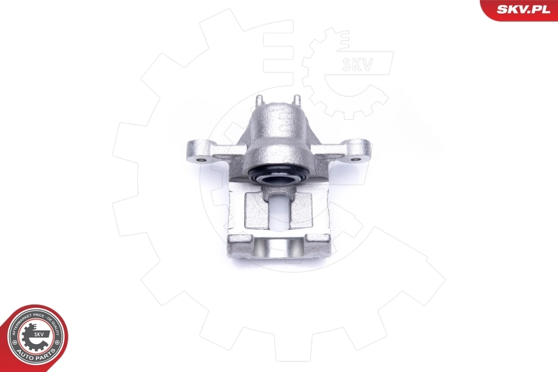 Brake Caliper 42SKV564
