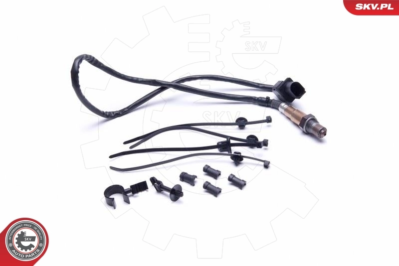 Oxygen Sensor 09SKV423