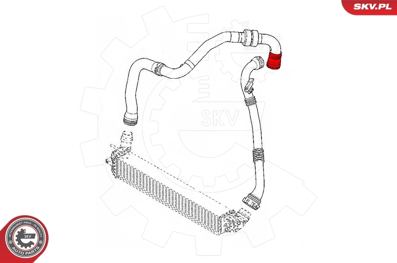 Charge Air Hose 43SKV011