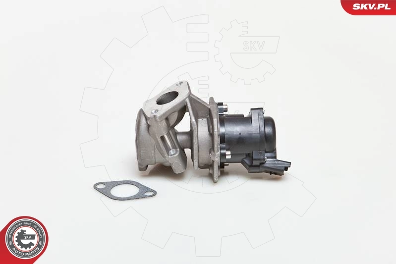 EGR Valve 14SKV027