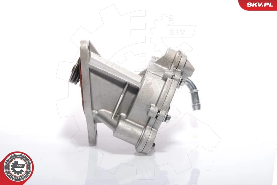 Vacuum Pump, braking system 18SKV008