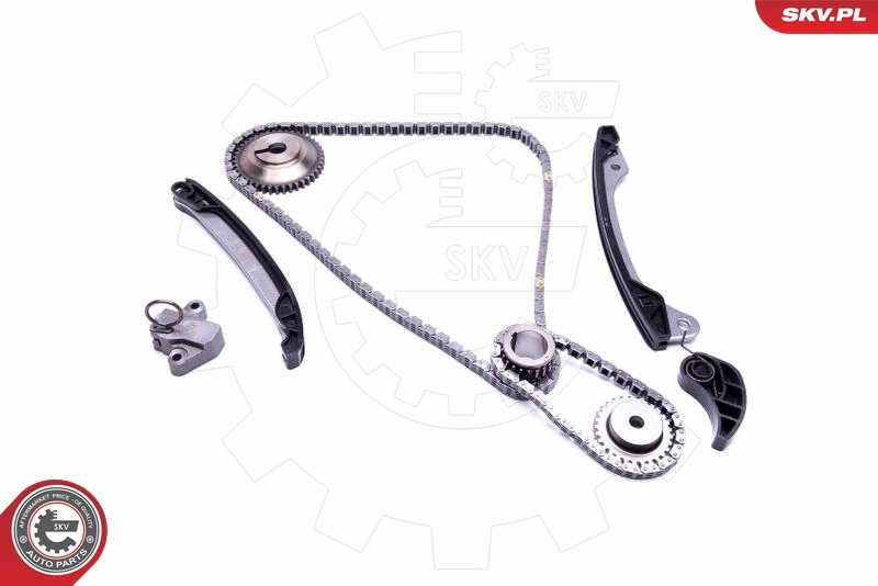Timing Chain Kit 21SKV187