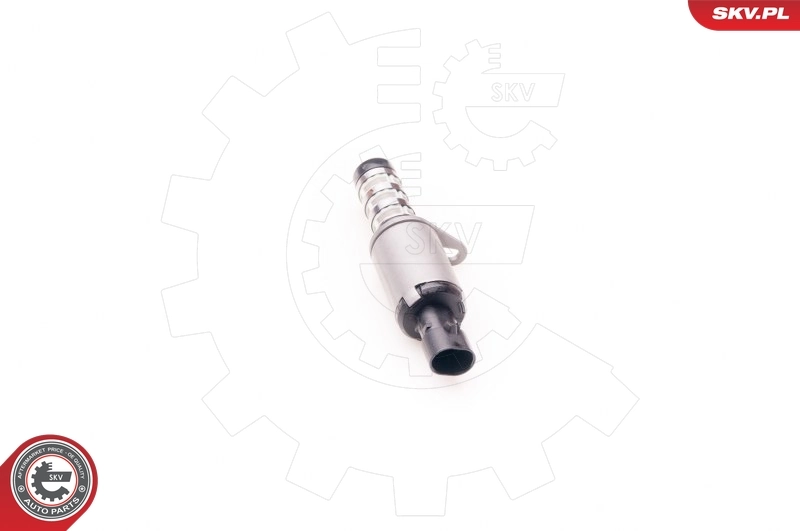 Control Valve, camshaft adjustment 39SKV001