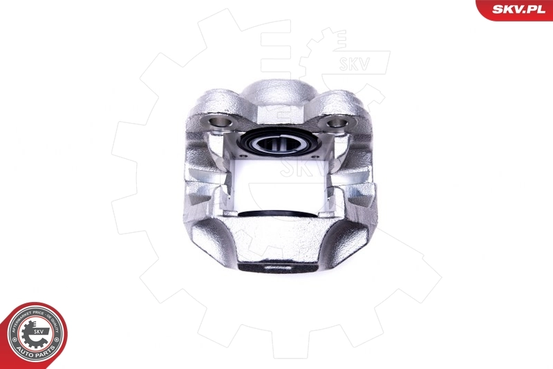 Brake Caliper 45SKV442
