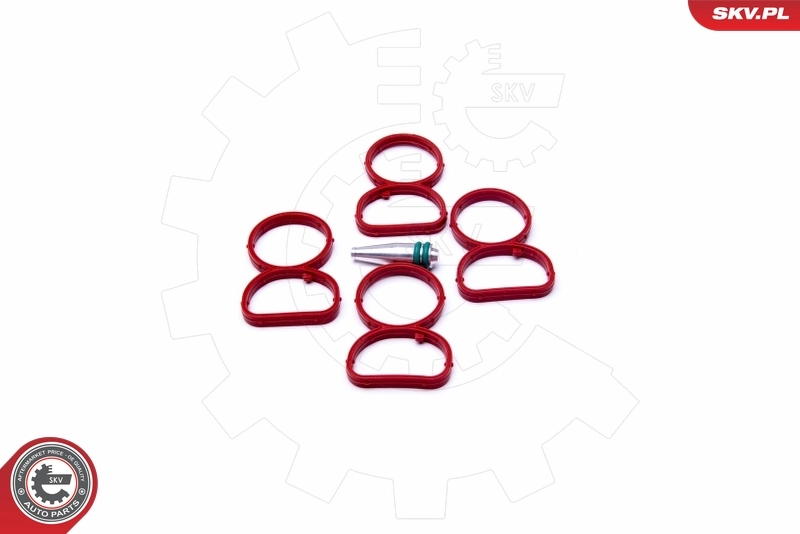 Repair Kit, intake manifold module 49SKV513