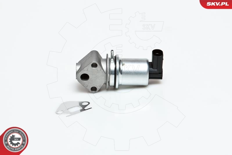 EGR Valve 14SKV007