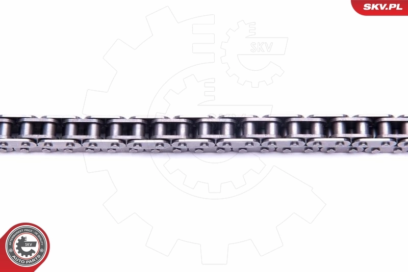 Timing Chain Kit 21SKV146