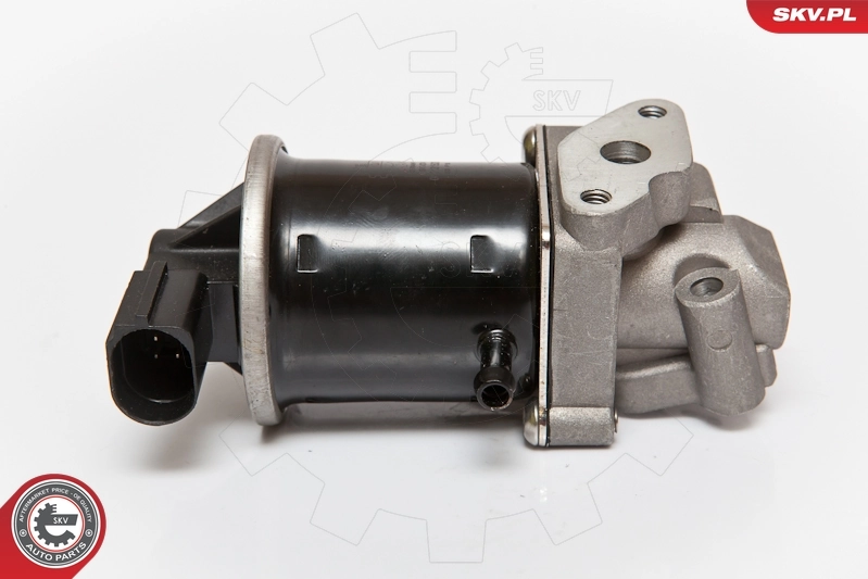 EGR Valve 14SKV074