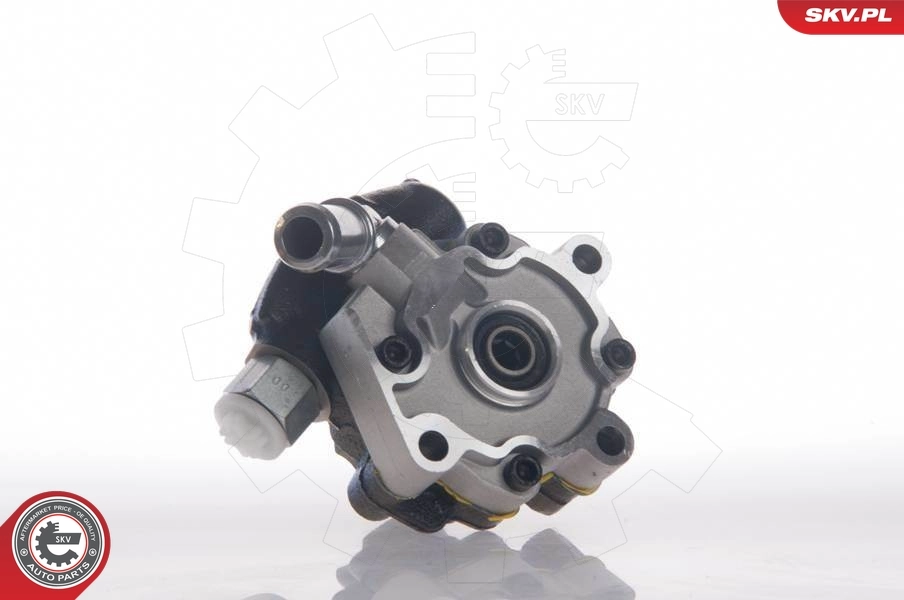 Hydraulic Pump, steering 10SKV158