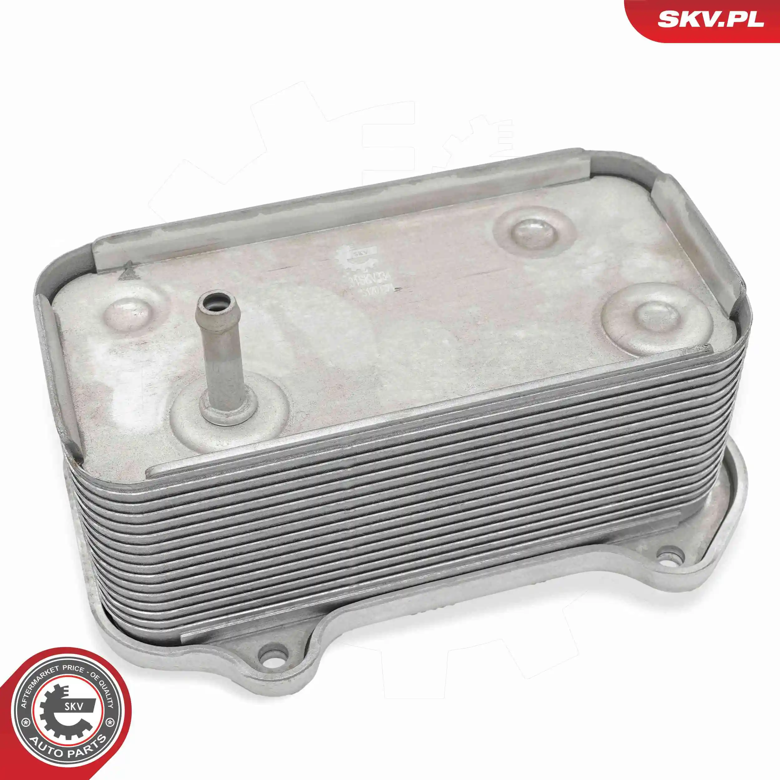 Oil Cooler, engine oil 31SKV334