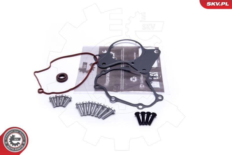 Repair Set, vacuum pump (braking system) 18SKV802