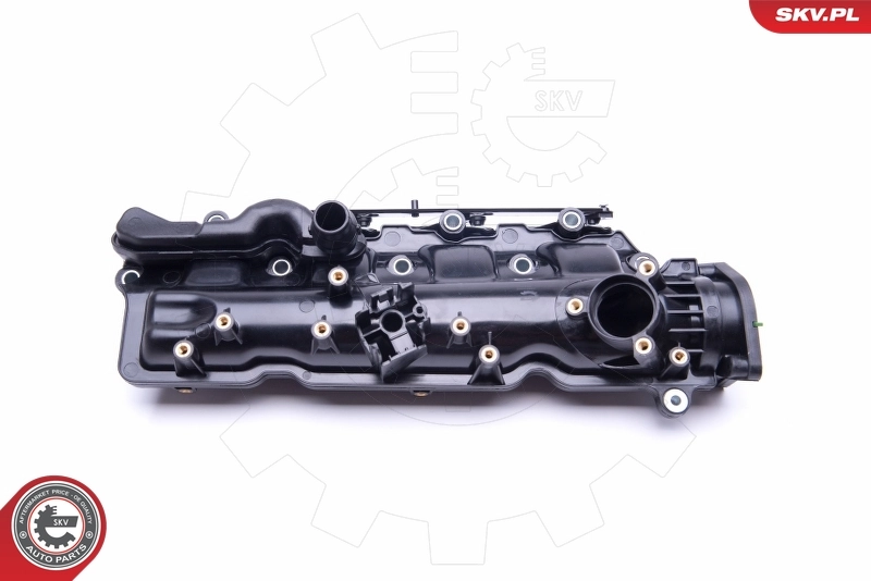 Intake Manifold Module 49SKV005